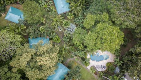 El Nido Pool and Garden